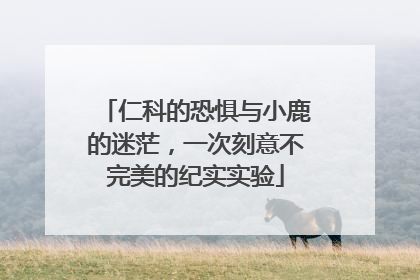 仁科的恐惧与小鹿的迷茫，一次刻意不完美的纪实实验
