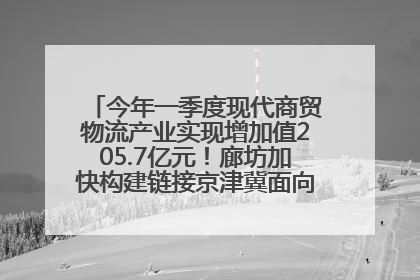 今年一季度现代商贸物流产业实现增加值205.7亿元！廊坊加快构建链接京津冀面向全世界的物流通道