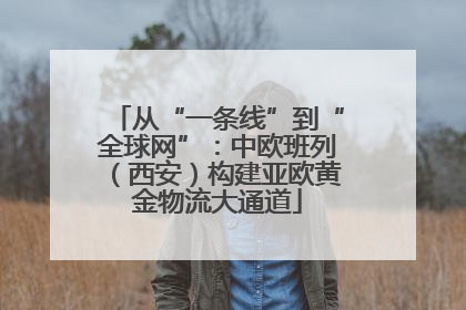 从“一条线”到“全球网”：中欧班列（西安）构建亚欧黄金物流大通道