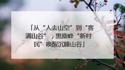 从“人去山空”到“客满山谷”，黑麋峰“新村民”唤醒沉睡山谷
