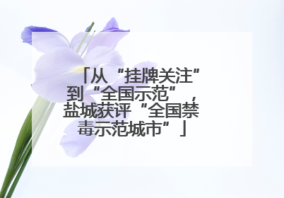 从“挂牌关注”到“全国示范”，盐城获评“全国禁毒示范城市”