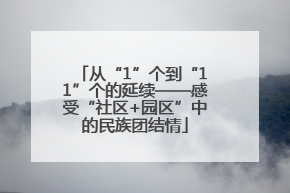 从“1”个到“11”个的延续——感受“社区+园区”中的民族团结情