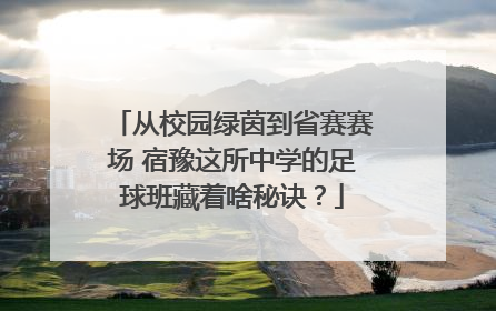 从校园绿茵到省赛赛场 宿豫这所中学的足球班藏着啥秘诀？