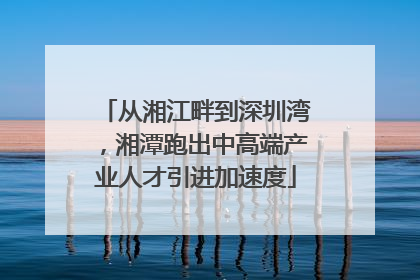 从湘江畔到深圳湾，湘潭跑出中高端产业人才引进加速度