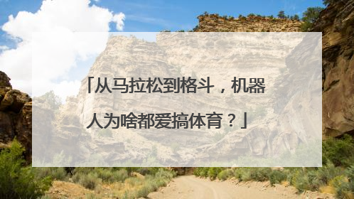 从马拉松到格斗，机器人为啥都爱搞体育？