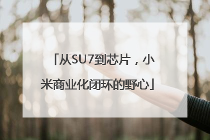从SU7到芯片，小米商业化闭环的野心