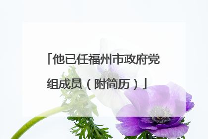 他已任福州市政府党组成员（附简历）