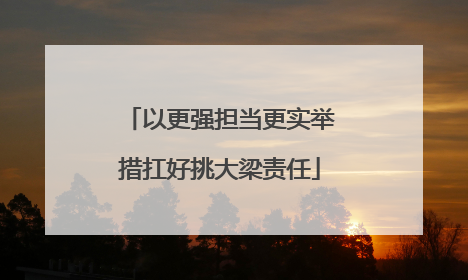 以更强担当更实举措扛好挑大梁责任