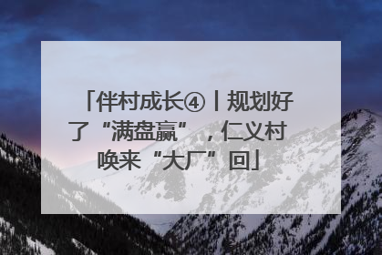 伴村成长④丨规划好了“满盘赢”，仁义村唤来“大厂”回