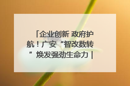 企业创新 政府护航！广安“智改数转”焕发强劲生命力｜市州焕新力