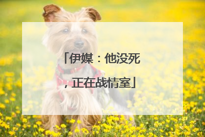 伊媒：他没死，正在战情室