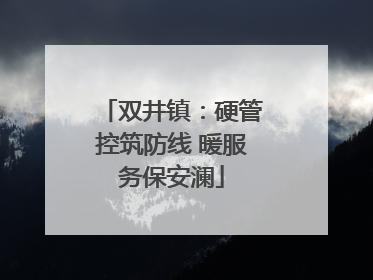 双井镇：硬管控筑防线 暖服务保安澜