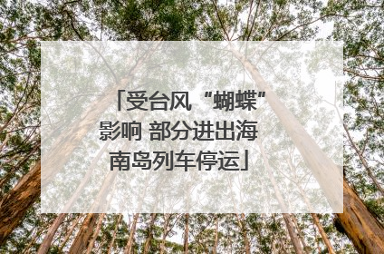 受台风“蝴蝶”影响 部分进出海南岛列车停运