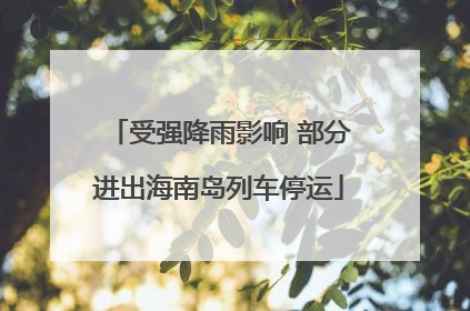 受强降雨影响 部分进出海南岛列车停运