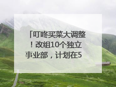 叮咚买菜大调整！改组10个独立事业部，计划在5月完成App端全面改版