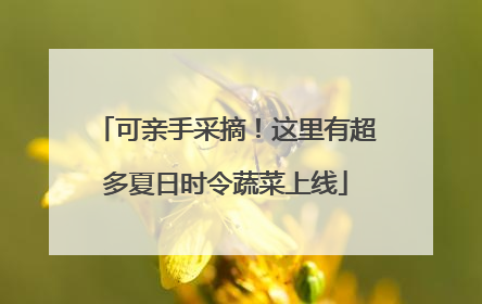 可亲手采摘！这里有超多夏日时令蔬菜上线