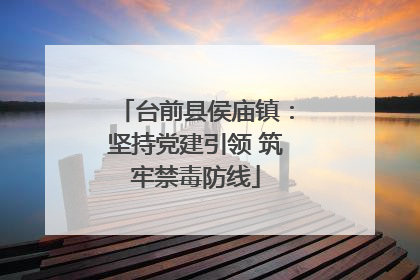台前县侯庙镇：坚持党建引领 筑牢禁毒防线