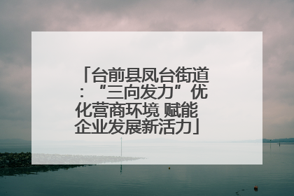 台前县凤台街道：“三向发力”优化营商环境 赋能企业发展新活力
