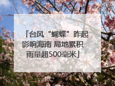 台风“蝴蝶”昨起影响海南 局地累积雨量超500毫米