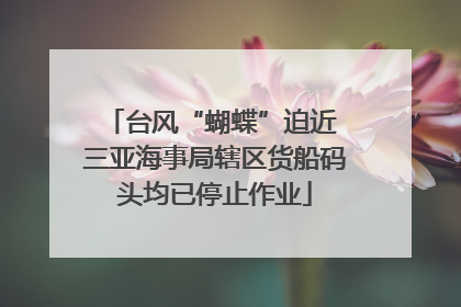台风“蝴蝶”迫近 三亚海事局辖区货船码头均已停止作业