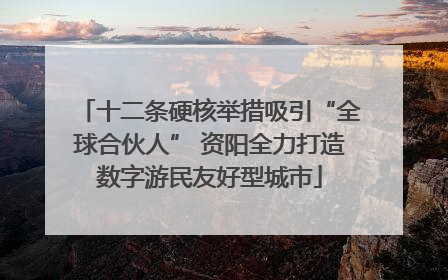 十二条硬核举措吸引“全球合伙人” 资阳全力打造数字游民友好型城市