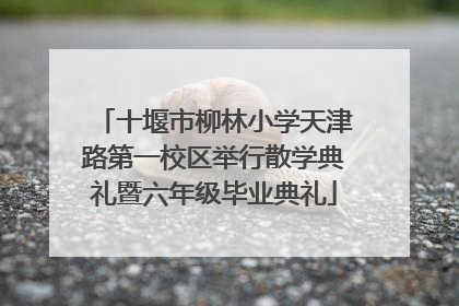 十堰市柳林小学天津路第一校区举行散学典礼暨六年级毕业典礼