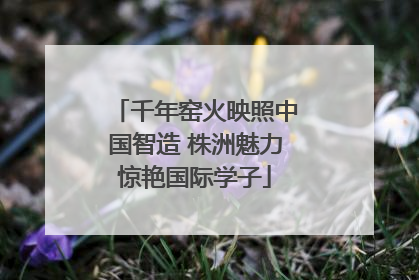 千年窑火映照中国智造 株洲魅力惊艳国际学子
