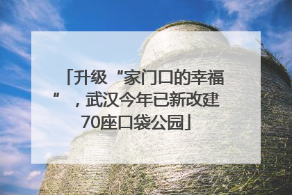 升级“家门口的幸福”，武汉今年已新改建70座口袋公园