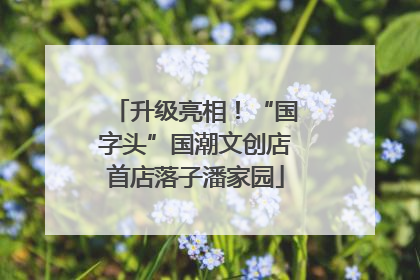 升级亮相！“国字头”国潮文创店首店落子潘家园