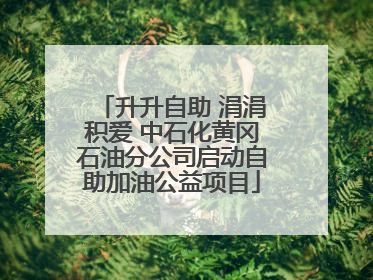 升升自助 涓涓积爱 中石化黄冈石油分公司启动自助加油公益项目