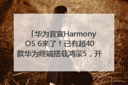 华为官宣HarmonyOS 6来了！已有超40款华为终端搭载鸿蒙5，开发者突破800万