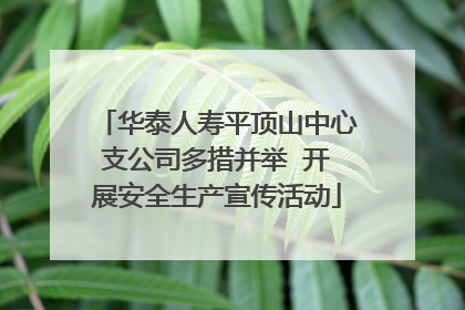 华泰人寿平顶山中心支公司多措并举  开展安全生产宣传活动