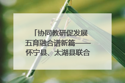 协同教研促发展 五育融合谱新篇——怀宁县、太湖县联合教研活动在月山镇中心学校成功举办
