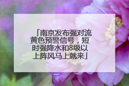 南京发布强对流黄色预警信号，短时强降水和8级以上阵风马上就来