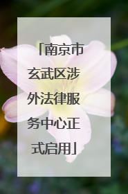 南京市玄武区涉外法律服务中心正式启用