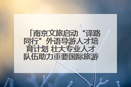 南京文旅启动“译路同行”外语导游人才培育计划 壮大专业人才队伍助力重要国际旅游目的地建设