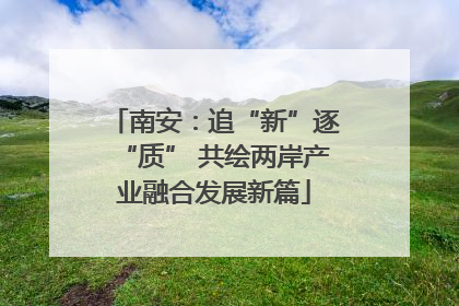 南安：追“新”逐“质” 共绘两岸产业融合发展新篇