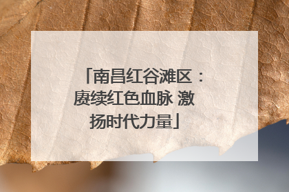 南昌红谷滩区：赓续红色血脉 激扬时代力量