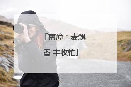 南漳：麦飘香 丰收忙