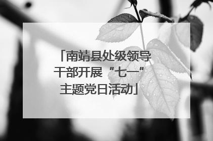 南靖县处级领导干部开展“七一”主题党日活动