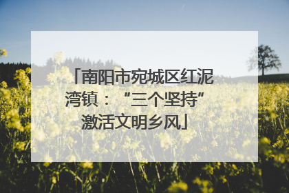 南阳市宛城区红泥湾镇：“三个坚持”激活文明乡风