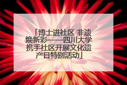 博士进社区 非遗焕新彩——四川大学携手社区开展文化遗产日特别活动