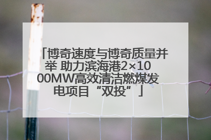 博奇速度与博奇质量并举 助力滨海港2×1000MW高效清洁燃煤发电项目“双投”