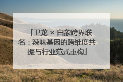 卫龙 × 白象跨界联名：辣味基因的跨维度共振与行业范式重构