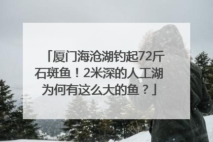 厦门海沧湖钓起72斤石斑鱼！2米深的人工湖为何有这么大的鱼？