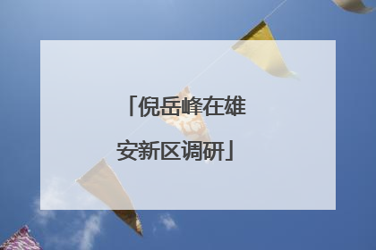 倪岳峰在雄安新区调研