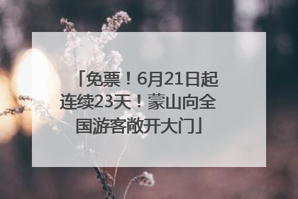免票！6月21日起连续23天！蒙山向全国游客敞开大门