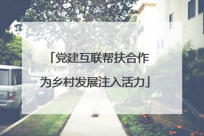 党建互联帮扶合作 为乡村发展注入活力