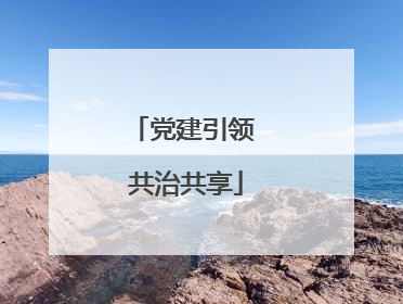 党建引领 共治共享