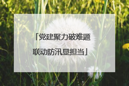党建聚力破难题 联动防汛显担当